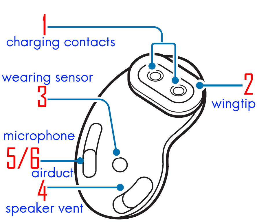 inside layout of Galaxy Buds Live